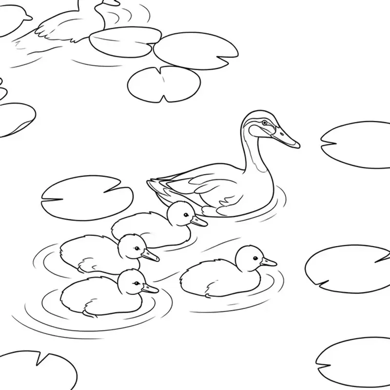 Ducks coloring page